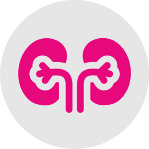 Utipro Kidney Icon
